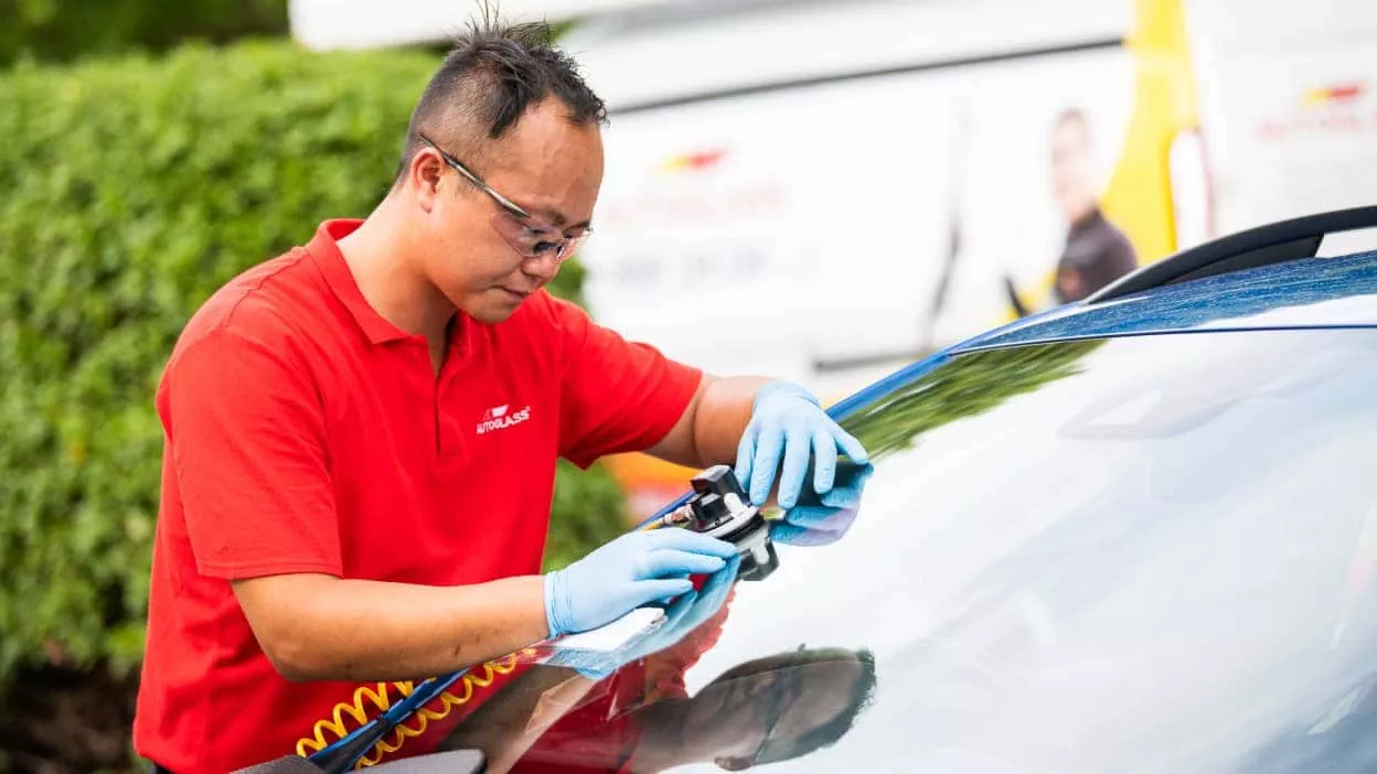 windscreen repair